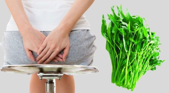 “The Water Spinach Remedy: Nature’s Answer to Hemorrhoids”
