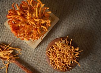 Can People with High Blood Pressure Take Cordyceps?