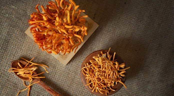 Can People with High Blood Pressure Take Cordyceps?