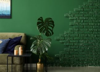 The Green Revolution: Embracing a Sustainable Lifestyle