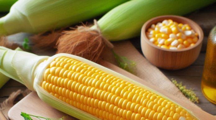 “Corn is Nutritious but Here’s Why 5 Groups Should Avoid It”