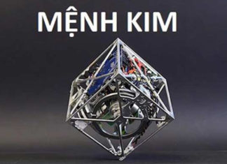 What Trees and Plants Are Lucky for Metal Elements in Feng Shui?