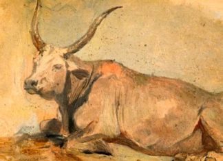 What is the Luck Element of People Born in the Year of the Fire Ox 1997? Their Lucky Colors and Compatible Signs.