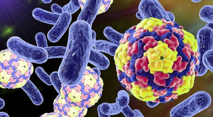 “The Ultimate Guide to Curing Your Cat’s Diarrhea at Home”