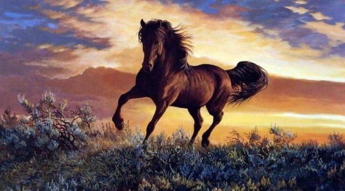 What is the Luck and Fortune of People Born in the Year of the Horse, 2002? Who are Their Best Matches?