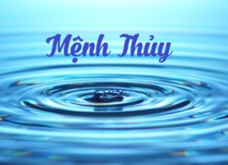 What is the Lucky Element for the Vietnamese Zodiac Sign, Nhâm Tuất (Yin Water Dog) 1982? What Are the Best Colors and Elements for This Sign?