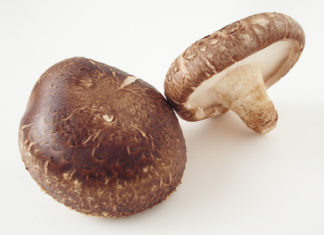 “Don’t Buy Chinese Shiitake Mushrooms for Your Mushroom Pate”