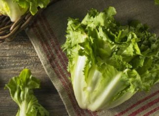 5 Signs Your Vegetables Are Pesticide-Ridden: A Guide to Making Wiser Choices