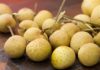 How Many Calories Are in Longan? Can Eating Longan Make You Fat?