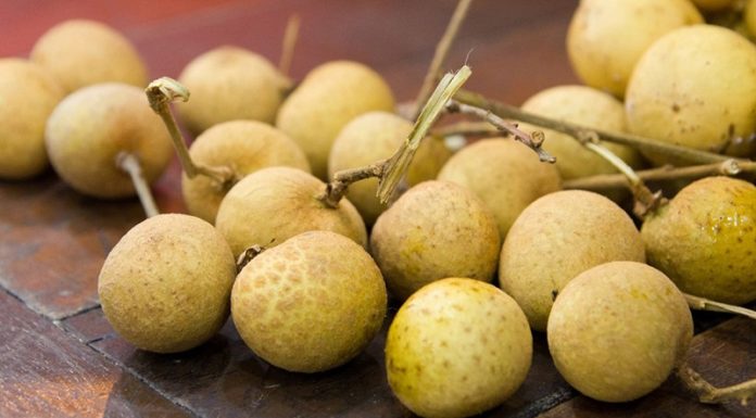 How Many Calories Are in Longan? Can Eating Longan Make You Fat?