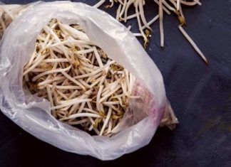 “Keep Your Bean Sprouts Fresh and Crisp: A Simple Trick for Extended Crispness”