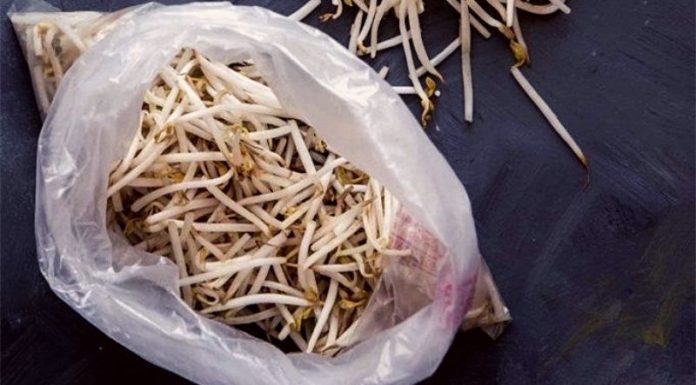 “Keep Your Bean Sprouts Fresh and Crisp: A Simple Trick for Extended Crispness”
