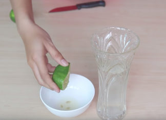 The Magic Potion for Fresh Flowers: A Few Drops to Keep Bouquets Blooming for Weeks