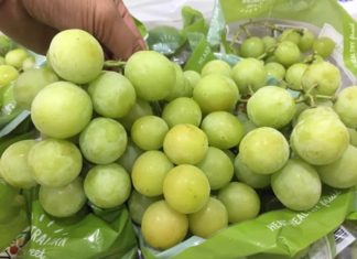 The Summer Fruit That Boosts Your Immunity and Packs a Vitamin Punch