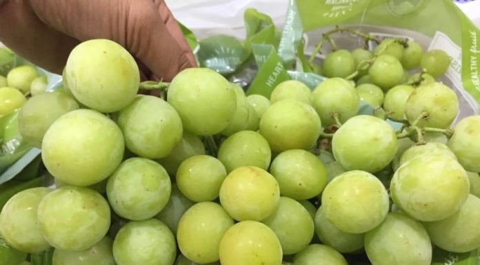 The Summer Fruit That Boosts Your Immunity and Packs a Vitamin Punch