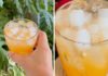 3 Delicious and Easy Ways to Prepare Coconut Jelly Drinks