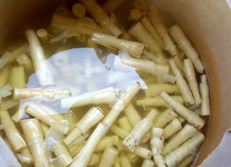 “The Ultimate Guide to Safe and Effective Detoxification of Pickled and Fresh Bamboo Shoots”