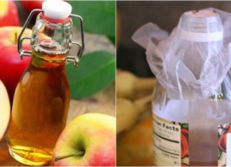 The Ultimate Guide to Getting Rid of Fruit Flies in Your Kitchen