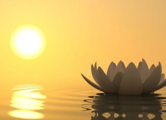 Captivating Quotes on Wisdom and Morality: Provoking Thought and Reflection