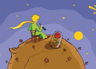 The Little Prince: Beautiful and Poignant Quotes