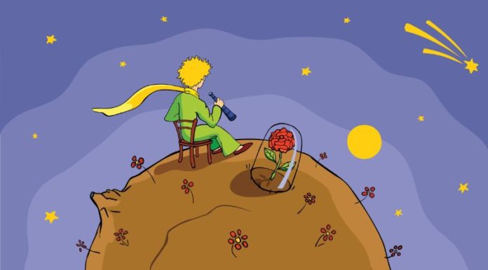 The Little Prince: Beautiful and Poignant Quotes