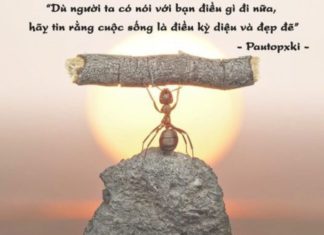 Inspirational Quotes for a Positive Mindset in 2023