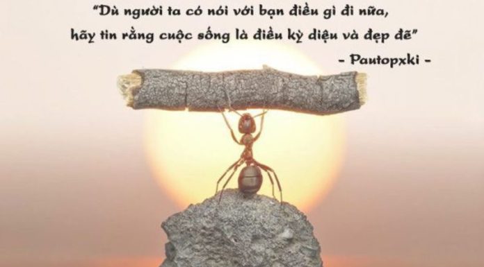 Inspirational Quotes for a Positive Mindset in 2023