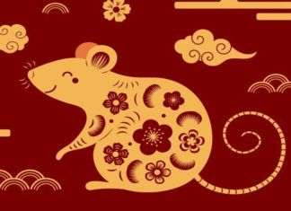 What Zodiac Animals Will Be Lucky in 2021?