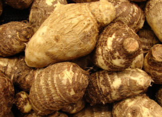How Many Calories Does Taro Contain? Can You Gain Weight From Eating Taro?
