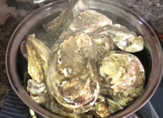 The Secret Sauce: Unveiling the Fascinating Facts About Oyster Sauce