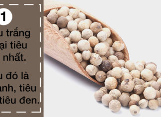 The Secrets of Pepper and Salt: Unveiling the Unknown