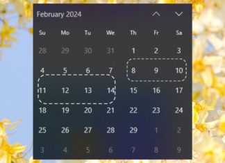 The Holiday Season: Your Ultimate Companion