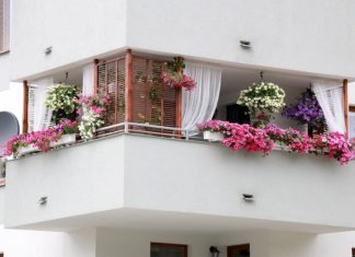 The Best West-Facing Balcony Plants to Bring a Breath of Fresh Air to Your Home