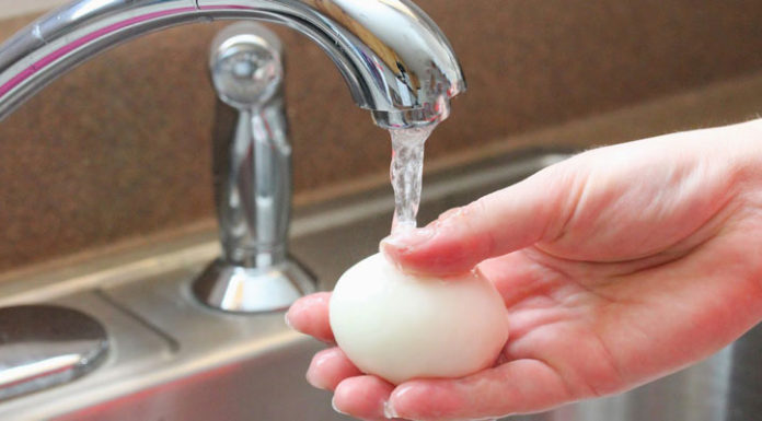 The Do’s and Don’ts of Washing Produce: A Guide to Food Safety