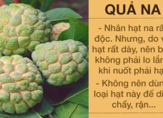 The Hidden Dangers of Seeds: Unveiling the Toxic Truth About Common Fruits