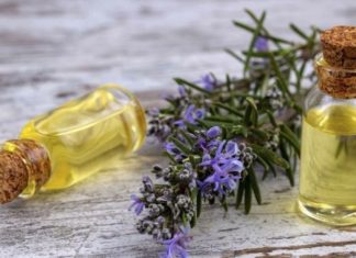 The Ultimate Guide to Anti-Aging: Discover the Power of Essential Oils to Transform Your Skin