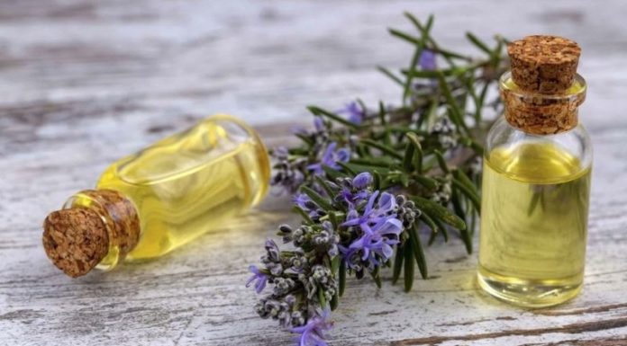 The Ultimate Guide to Anti-Aging: Discover the Power of Essential Oils to Transform Your Skin