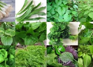 The Ultimate Guide to Foods That Don’t Need Refrigeration