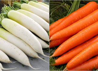 The Best Vegetables to Avoid When Cooking Fish