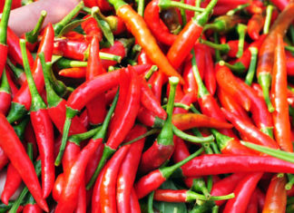 The Vegetables You Should Never Cook