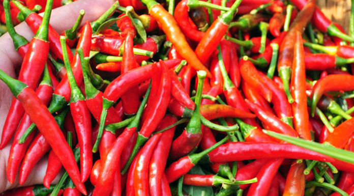 The Vegetables You Should Never Cook