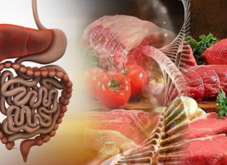 The Surprising Benefits of Buffalo Meat