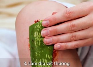 The Miraculous Benefits of Aloe Vera