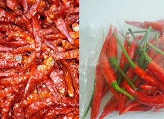 The Spicy Side of Life: A Guide to Using Chili Peppers Like a Pro