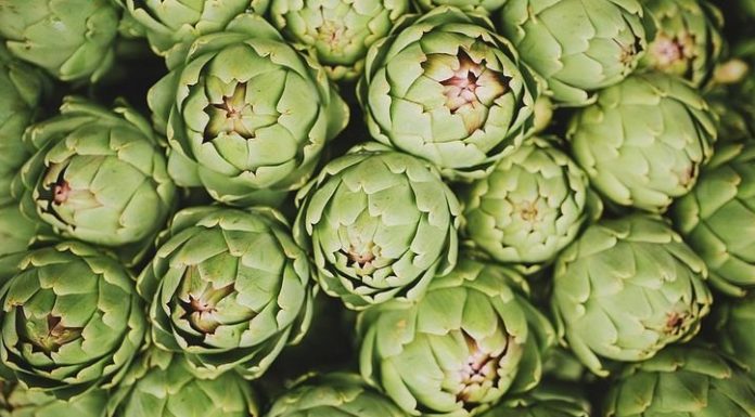 “Artichoke Cooking Tips and Tricks: Unlocking the Delicious Potential”