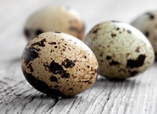 The Secrets of Eggs: A Connoisseur’s Guide to the World’s Most Versatile Food