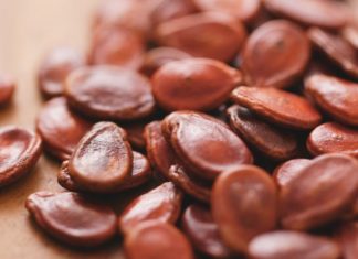 Common Holiday Accidents and Injuries in Children