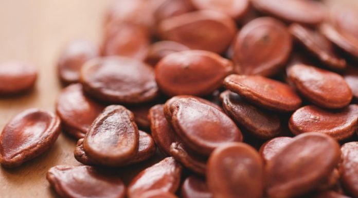 Common Holiday Accidents and Injuries in Children