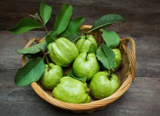 The Ultimate Guide to Vitamin C-Rich Foods: Unlocking a Healthier You