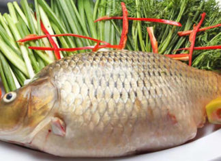 Foods to Eat and Avoid After Your COVID-19 Vaccine